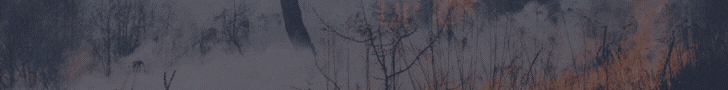 ad img