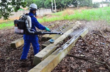 Bairro ZR1 apresenta Focos do Mosquito Aedes Aegypti em MatupÃ¡