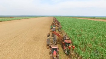 Cresce o mercado de drones para agricultura em Mato Grosso