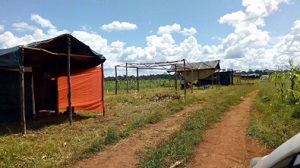 Peixoto de Azevedo:JuÃza dá 15 dias para MST desocupar fazenda de ex-governador