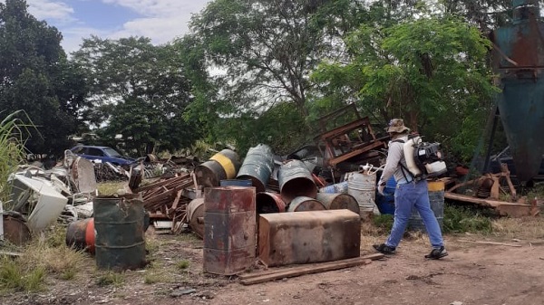 Intensificação do combate ao mosquito da dengue em Peixoto de Azevedo