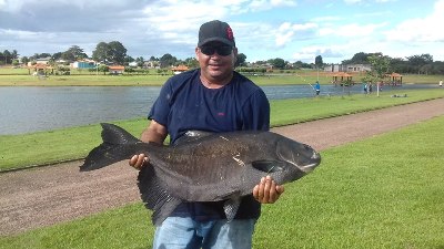 Neste final de semana tem Pesca Liberada nos Lagos de Matupá