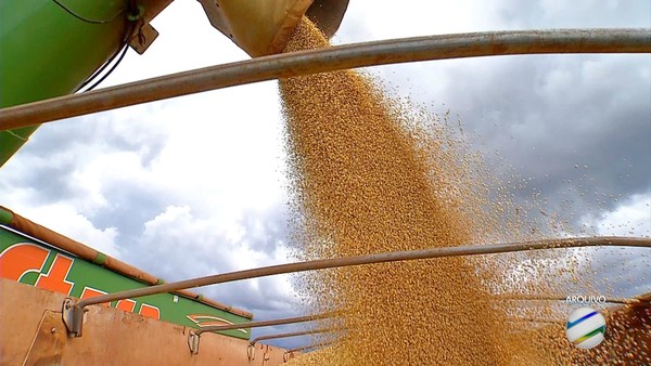 MT lidera produção de grãos no país