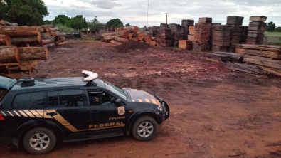 PF cumpre mandados contra crimes cometidos por madeireiras em Feliz Natal 