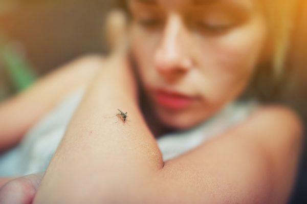 Casos de dengue aumentaram mais de 170% em MT