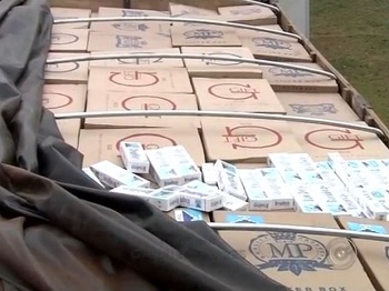 PRF apreende 500 caixas de cigarros contrabandeados em Mato Grosso e motorista foge