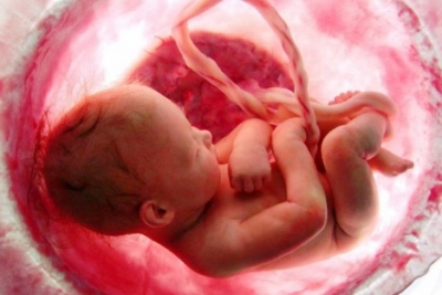 4 fetos morrem em hospital regional por suspeitas de negligÃªncia mÃ©dica