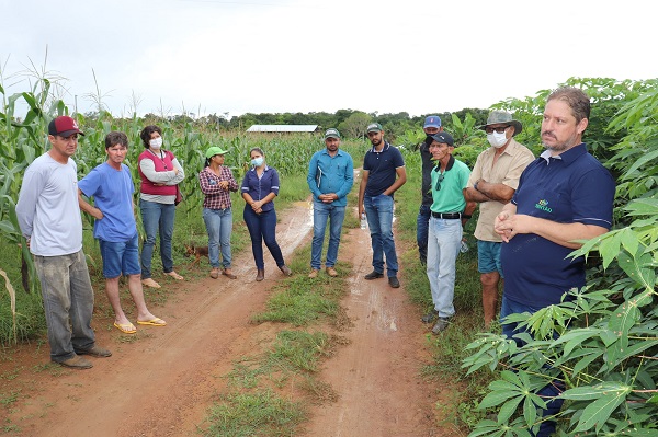 Hortifruticultura: Dia da Campo da COOPERMT em Matupá