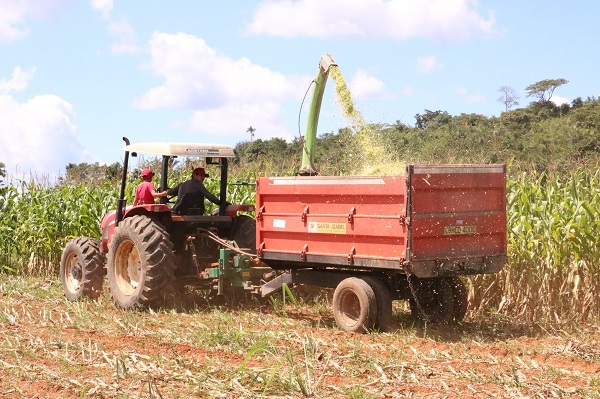 Exemplo de produção de silagem em Guarantã do Norte