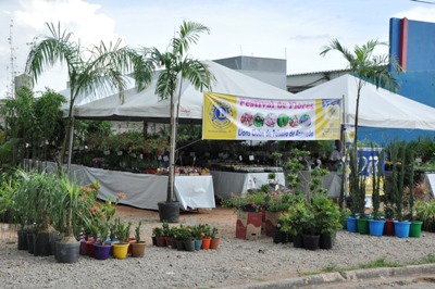 Lions Clube realiza o tradicional Festival de Flores Ornamentais